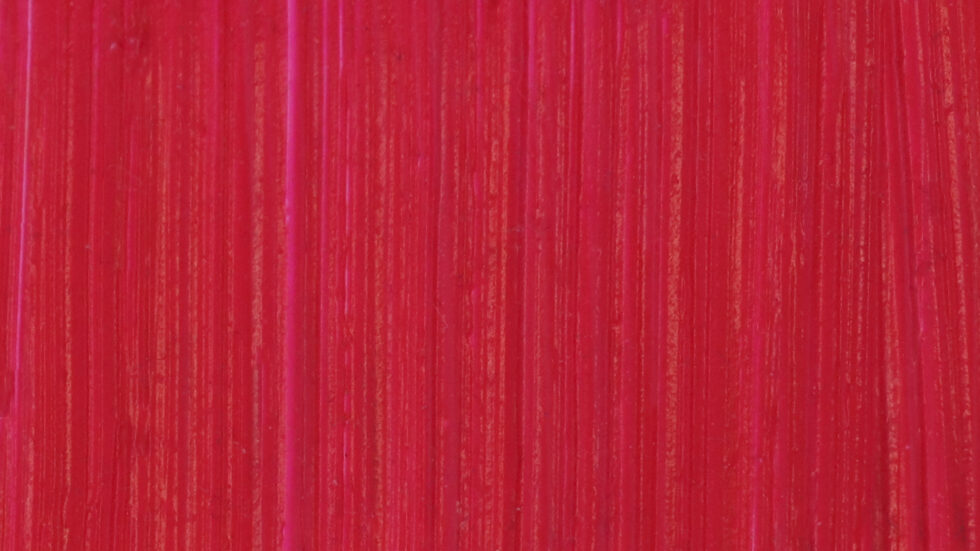 NEW | Opera Rose (No. 247) - Michael Harding